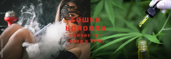 ГАЛЛЮЦИНОГЕННЫЕ ГРИБЫ Коряжма