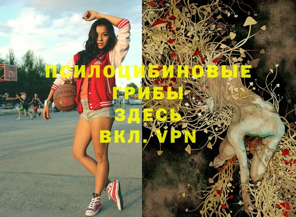 ГАЛЛЮЦИНОГЕННЫЕ ГРИБЫ Коряжма