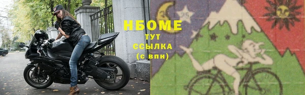 ГАЛЛЮЦИНОГЕННЫЕ ГРИБЫ Коряжма