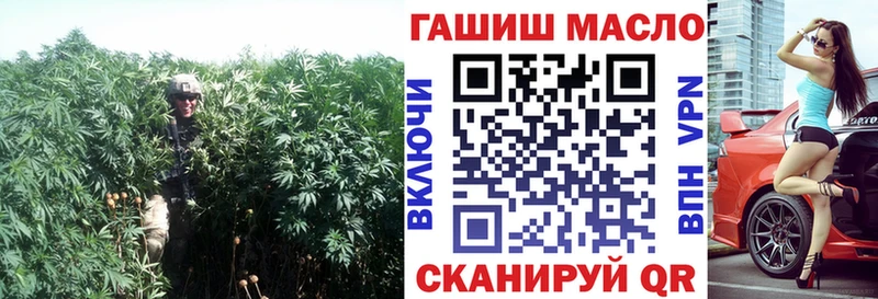 Купить Суджа ТГК гашишное масло